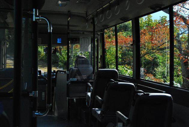 a9.jpg