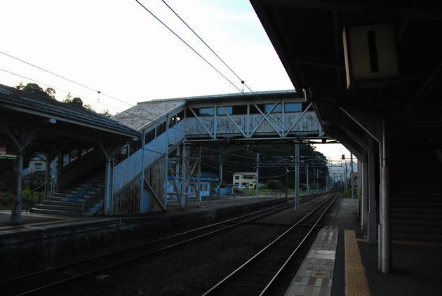 d14.jpg