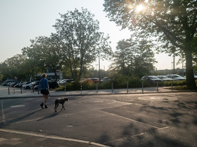 20240819_084208-2.jpg
