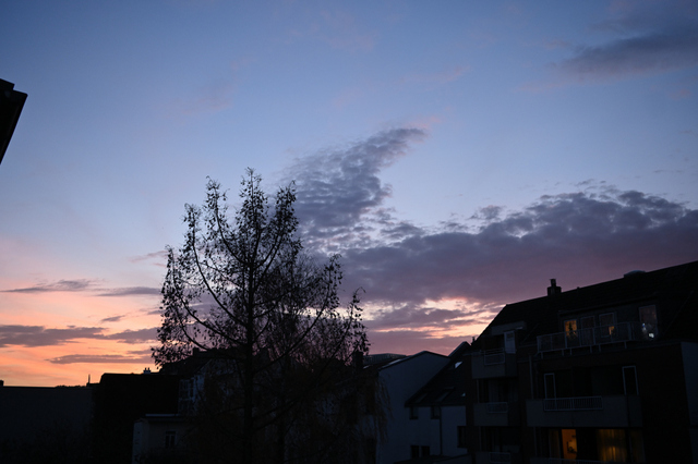 DSC_0647_001_01.JPG