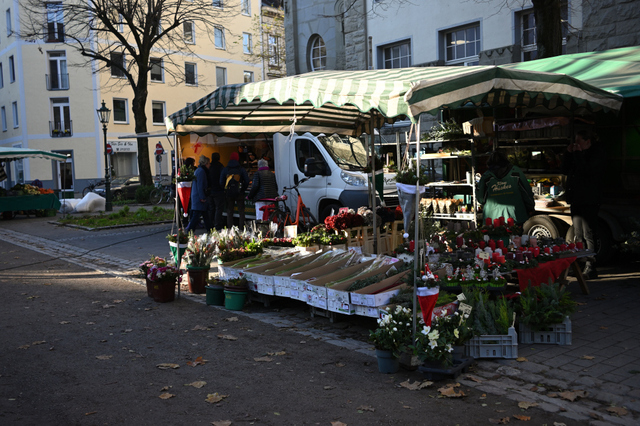 DSC_0675_001_01.JPG