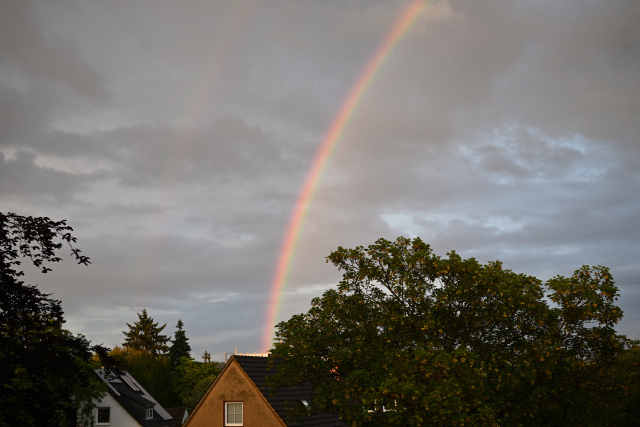 DSC_7882_001_001.JPG