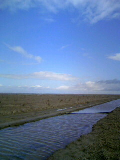 080326_121654.JPG