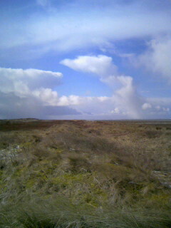 080325_104429.JPG