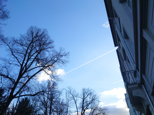 20220128_142536_001.JPG