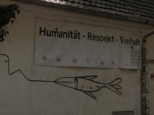 20240914_114548-2.jpg
