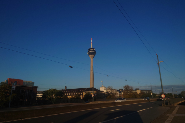 20241004_083050_001.JPG