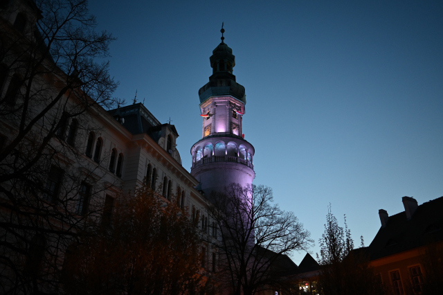 DSC_0045_001.JPG