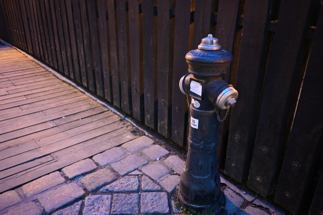 DSC_0047_001.JPG