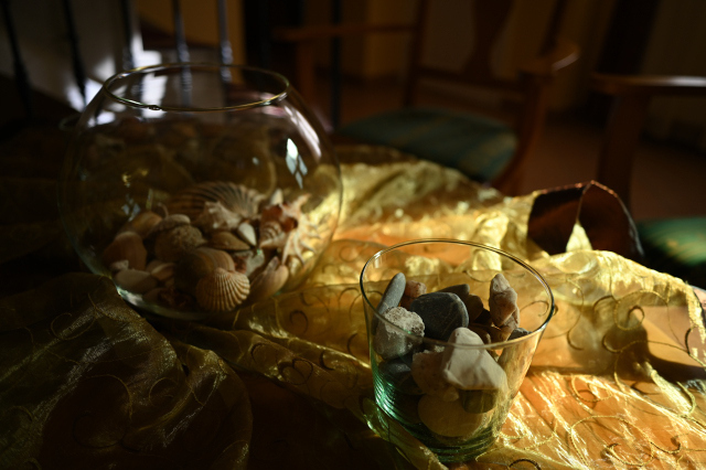 DSC_0090_001.JPG