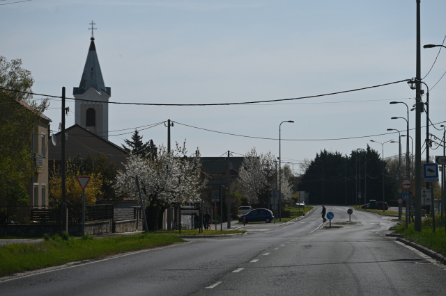 DSC_0103_001.JPG