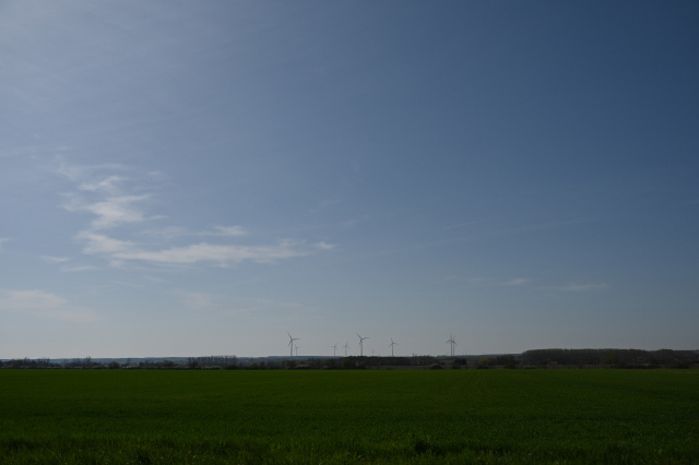 DSC_0107_001.JPG