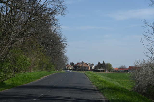 DSC_0113_001.JPG