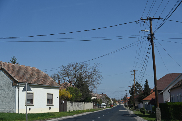 DSC_0114_001.JPG