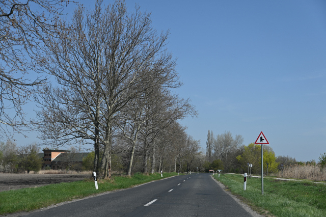 DSC_0128_001.JPG