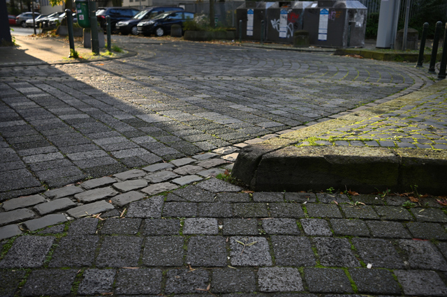 DSC_0157_001_01.JPG