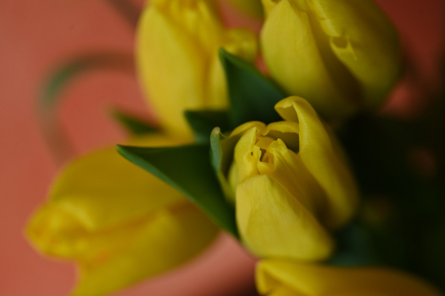 DSC_0163_001.JPG