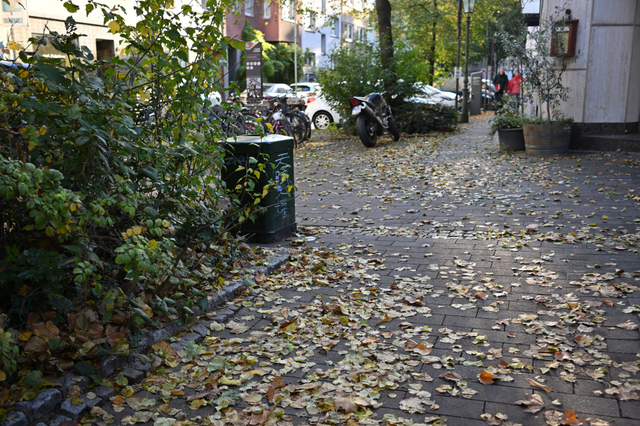 DSC_0179_001.JPG