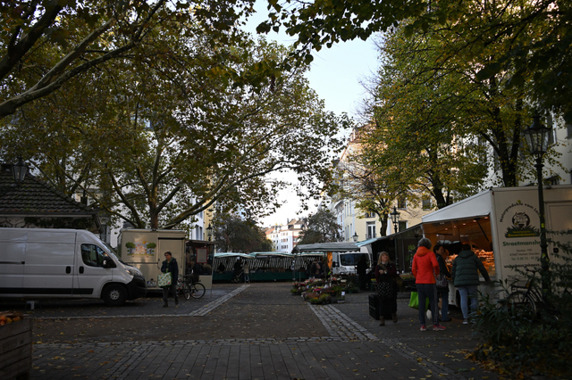 DSC_0180_001.JPG