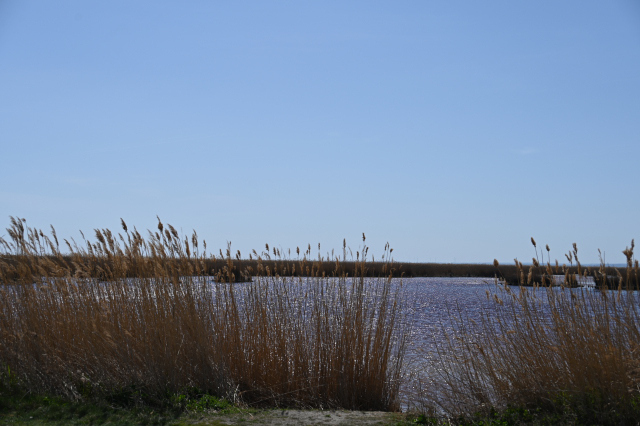 DSC_0262_001.JPG