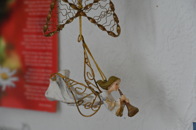 DSC_0314_001.JPG