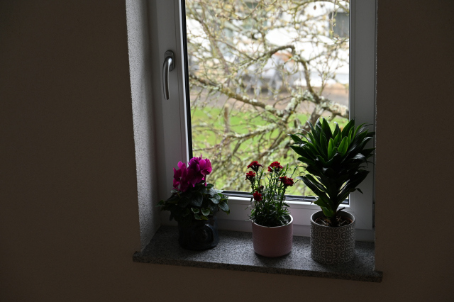 DSC_0335_001.JPG