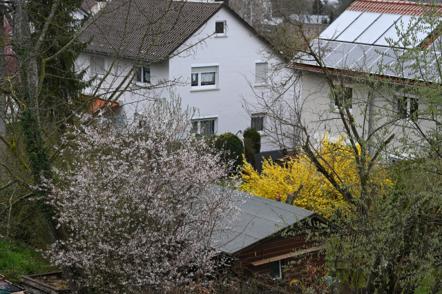 DSC_0356_001.JPG