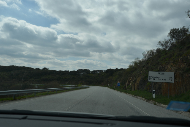 DSC_0525_001.JPG