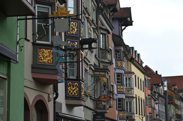 DSC_0555_001.JPG