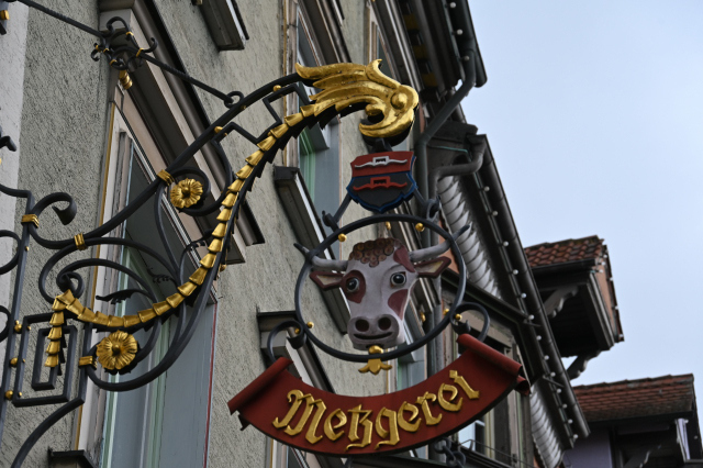 DSC_0561_001.JPG