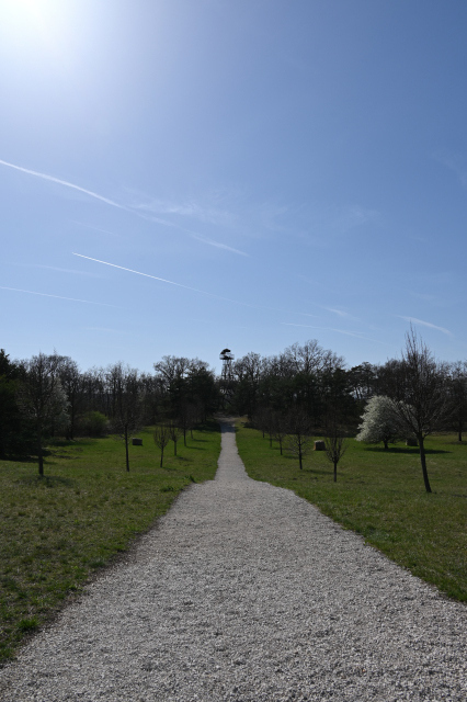 DSC_0692_001.JPG