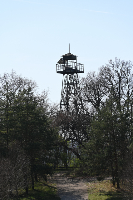 DSC_0693_001.JPG
