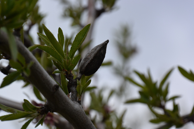 DSC_0793_001.JPG