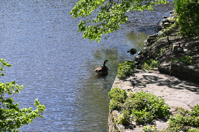 DSC_1030_001.JPG