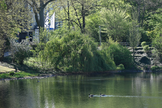 DSC_1068_001.JPG