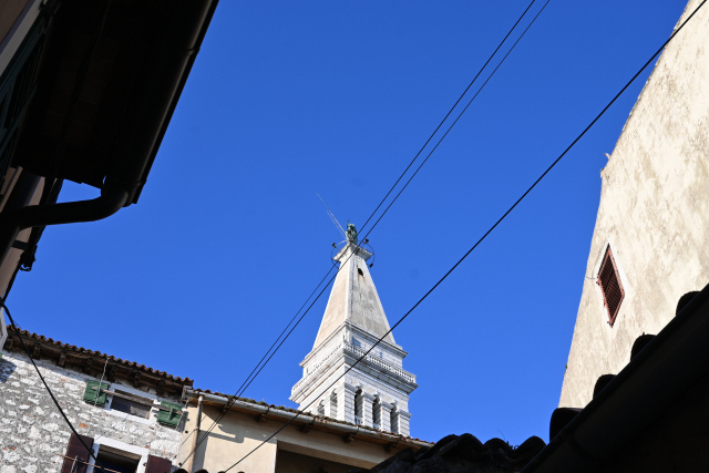 DSC_1497_001.JPG