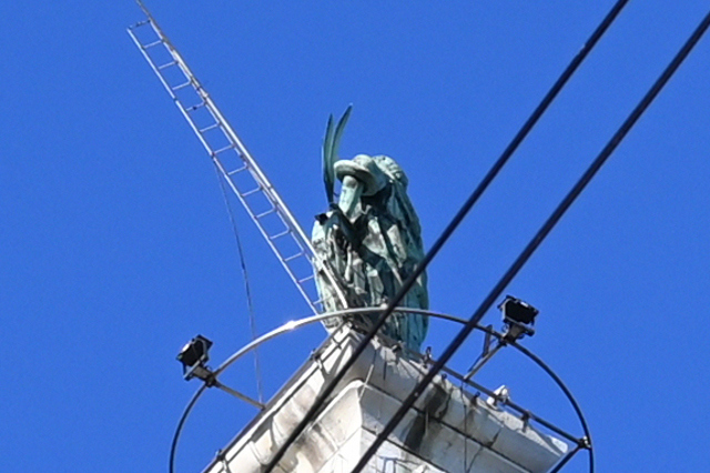 DSC_1497_001_01.JPG