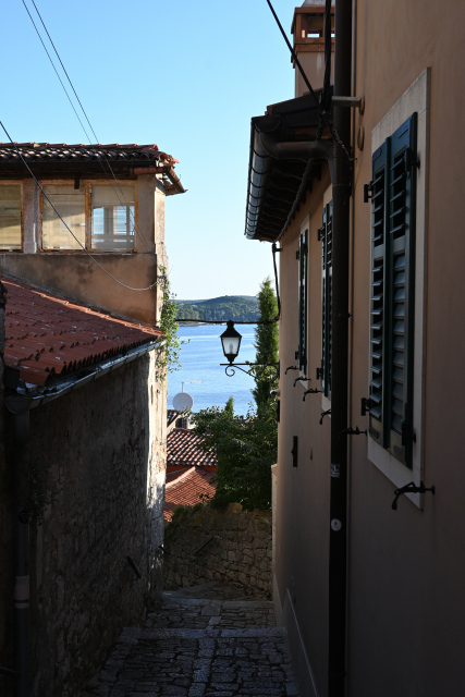 DSC_1498_001.JPG