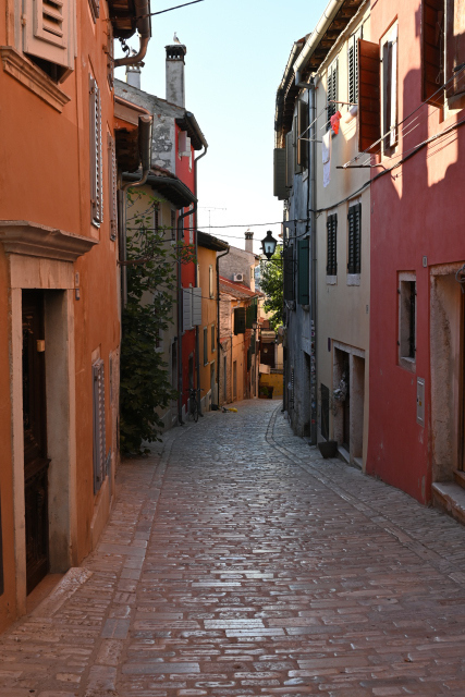 DSC_1500_001.JPG