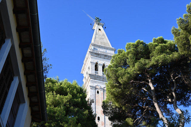 DSC_1502_001.JPG