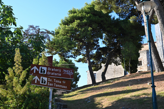 DSC_1505_001.JPG
