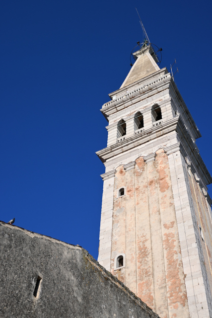 DSC_1511_001.JPG