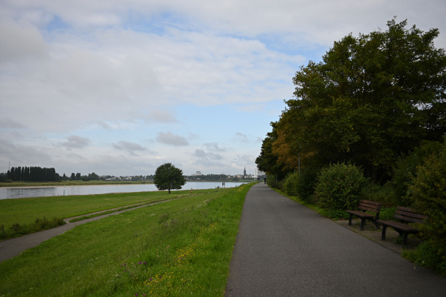 DSC_1534_001.JPG