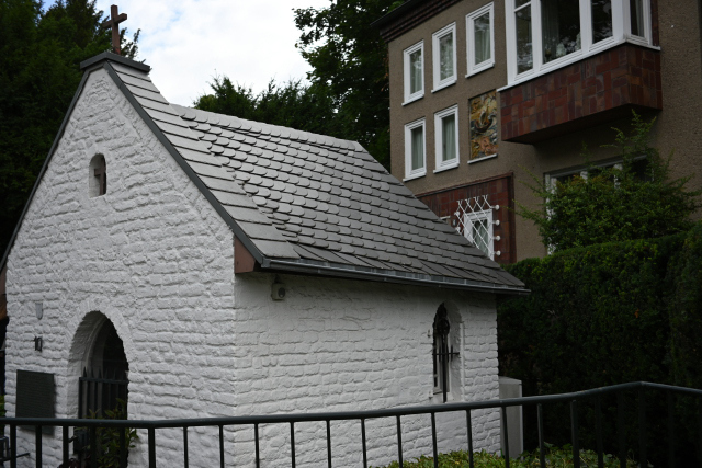 DSC_1548_001.JPG