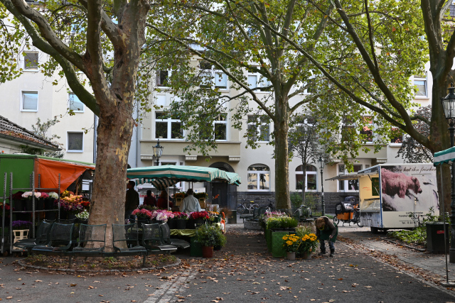 DSC_1980_001.JPG