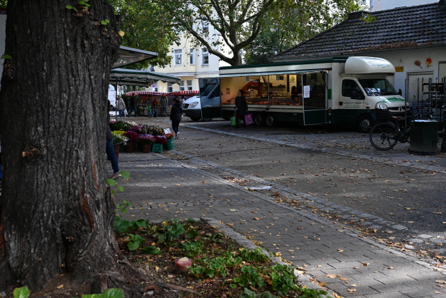 DSC_1988_001.JPG