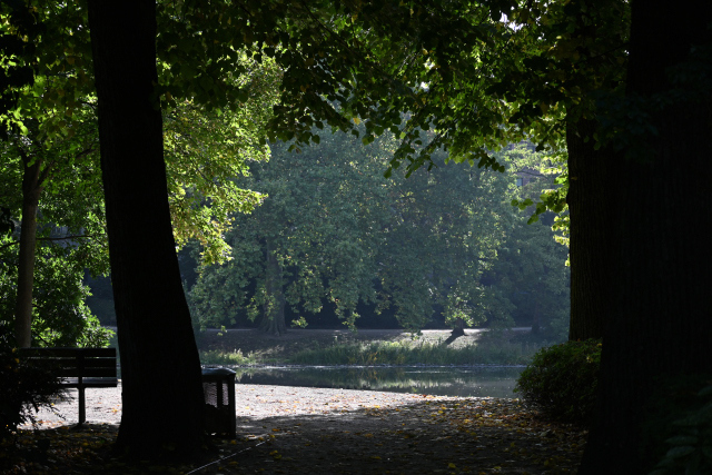 DSC_2172_001.JPG