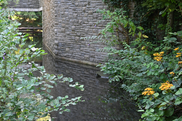 DSC_2457_001.JPG