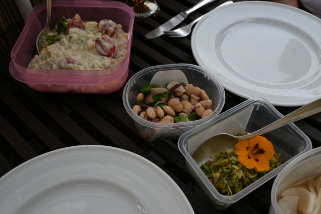 DSC_2747_001.JPG