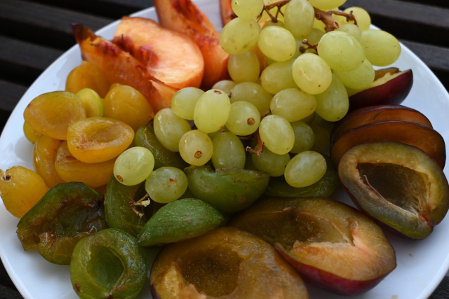 DSC_2763_001.JPG